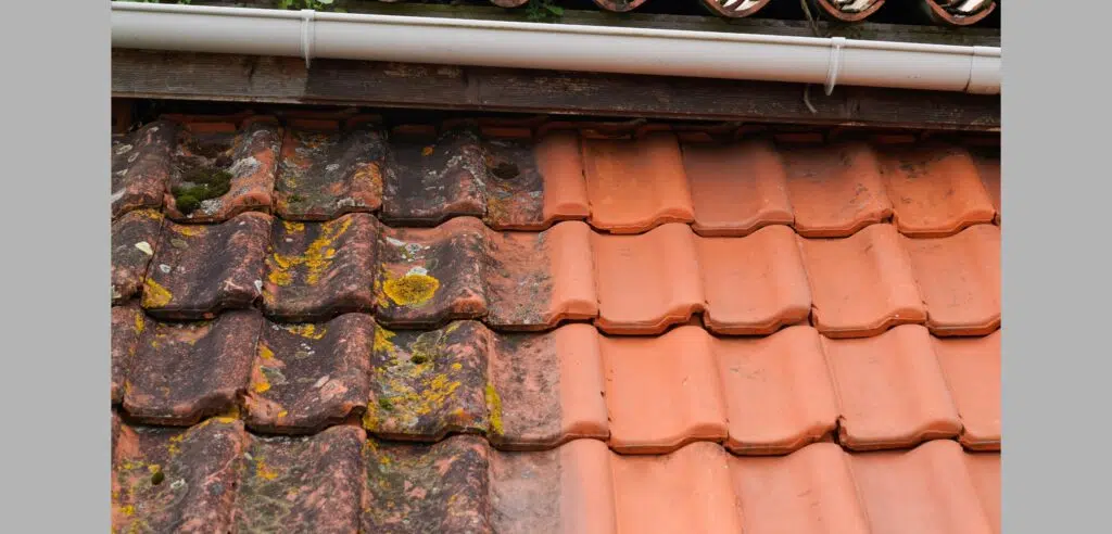 Nettoyage de toiture Enlevement de mousse et lichen Nettoyage a haute et basse pression Rhone Alpes Drome 26 Ardeche 07