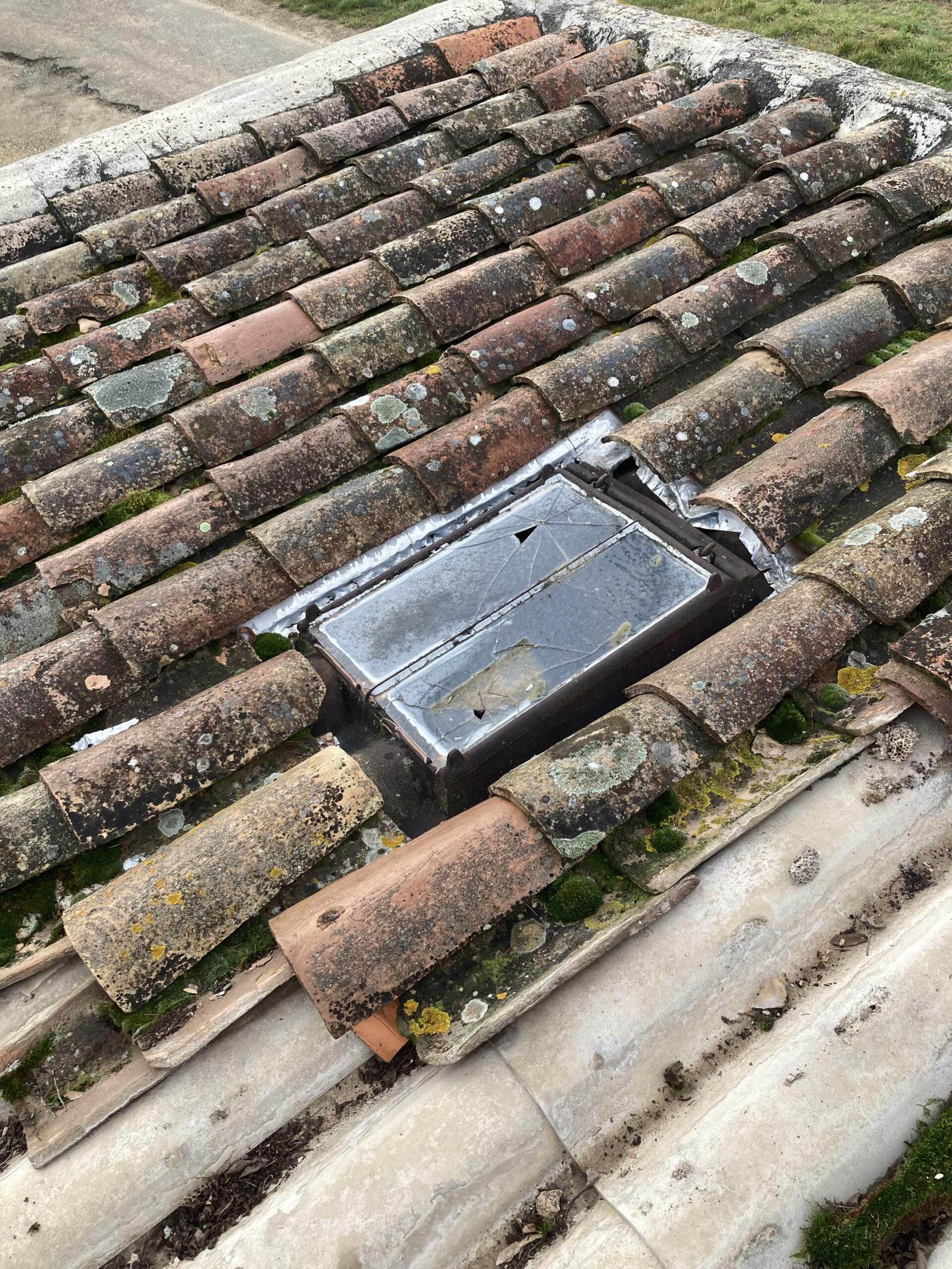 e77f6eda36d04bdab97d7e874d7f7b24tplv photomode image scaled